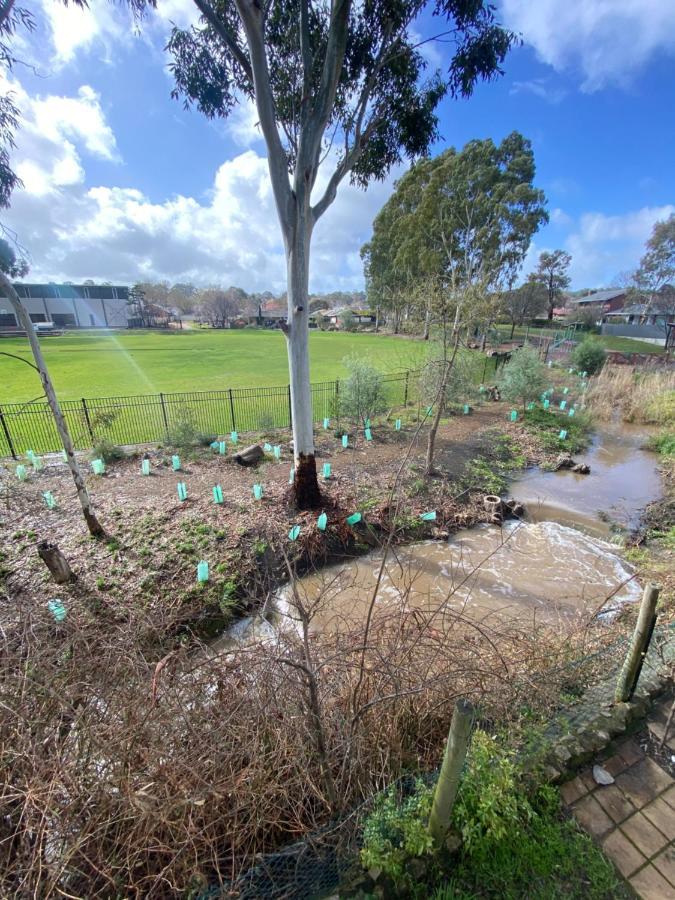 Hahndorf Motel 외부 사진